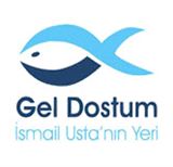 Gel Dostum